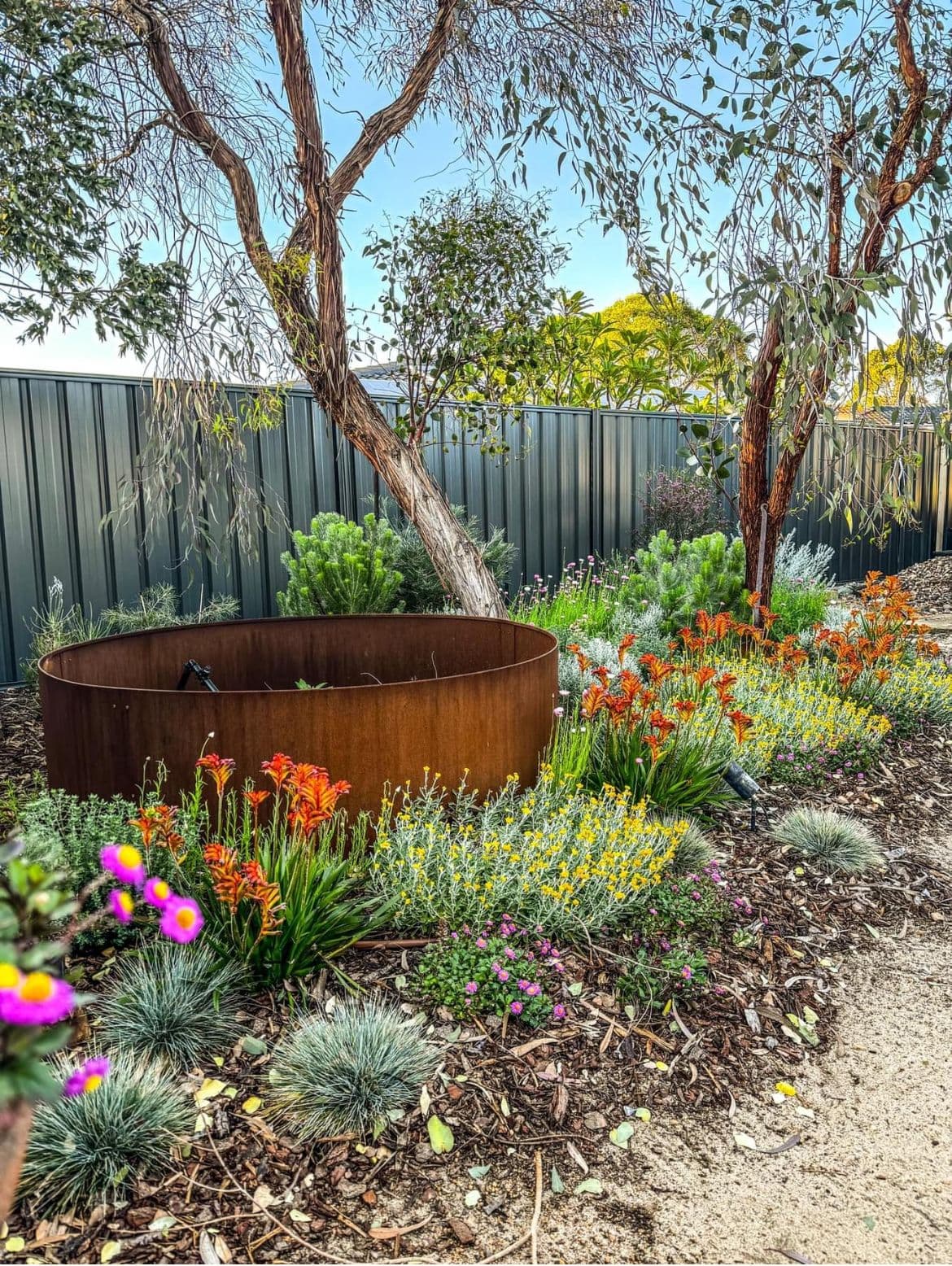 Flowering & Ornamental collection at Evergreen Growers